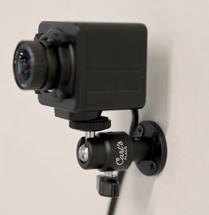 Carl's Place Golf Swing Camera (Set of 2)