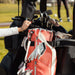 Sunday Golf - Ryder | Coral Lightweight Stand Bag - Scratch Golf